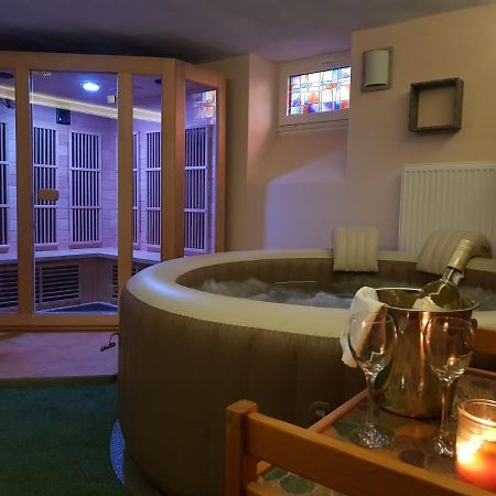 Vila Nejdek - Erzgebirge Apart otel Dış mekan fotoğraf