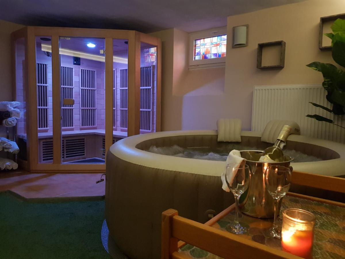 Vila Nejdek - Erzgebirge Apart otel Dış mekan fotoğraf