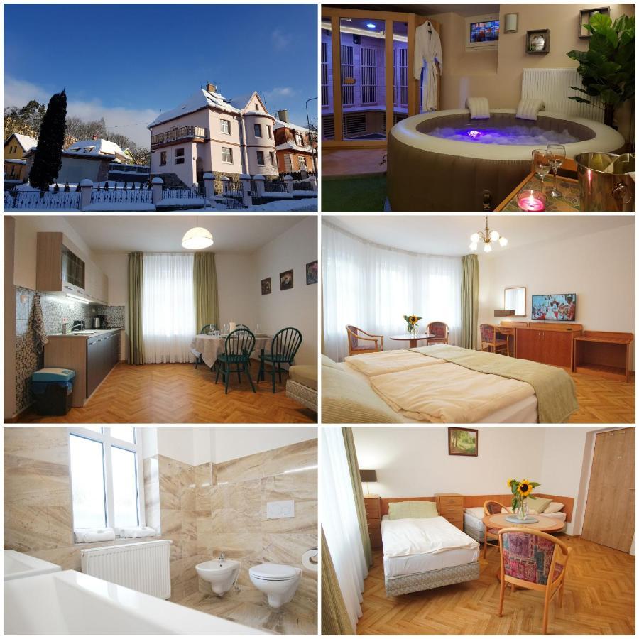 Vila Nejdek - Erzgebirge Apart otel Dış mekan fotoğraf
