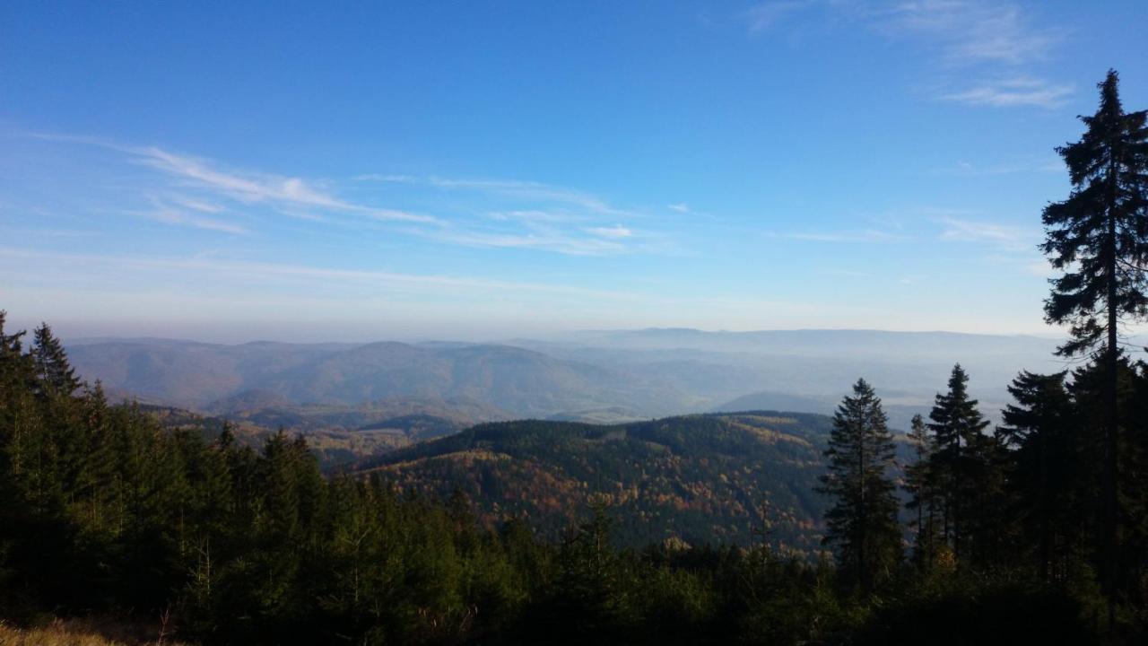Vila Nejdek - Erzgebirge Apart otel Dış mekan fotoğraf