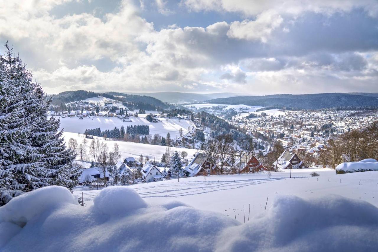 Vila Nejdek - Erzgebirge Apart otel Dış mekan fotoğraf